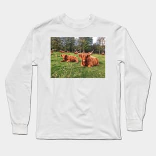 Scottish Highland Cattle Calf and Cows 2114 Long Sleeve T-Shirt